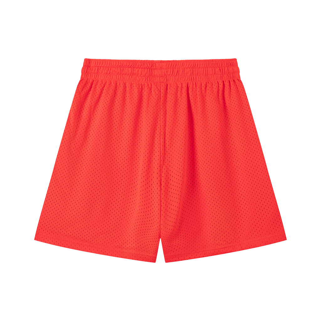 Mesh National Soccer Shorts